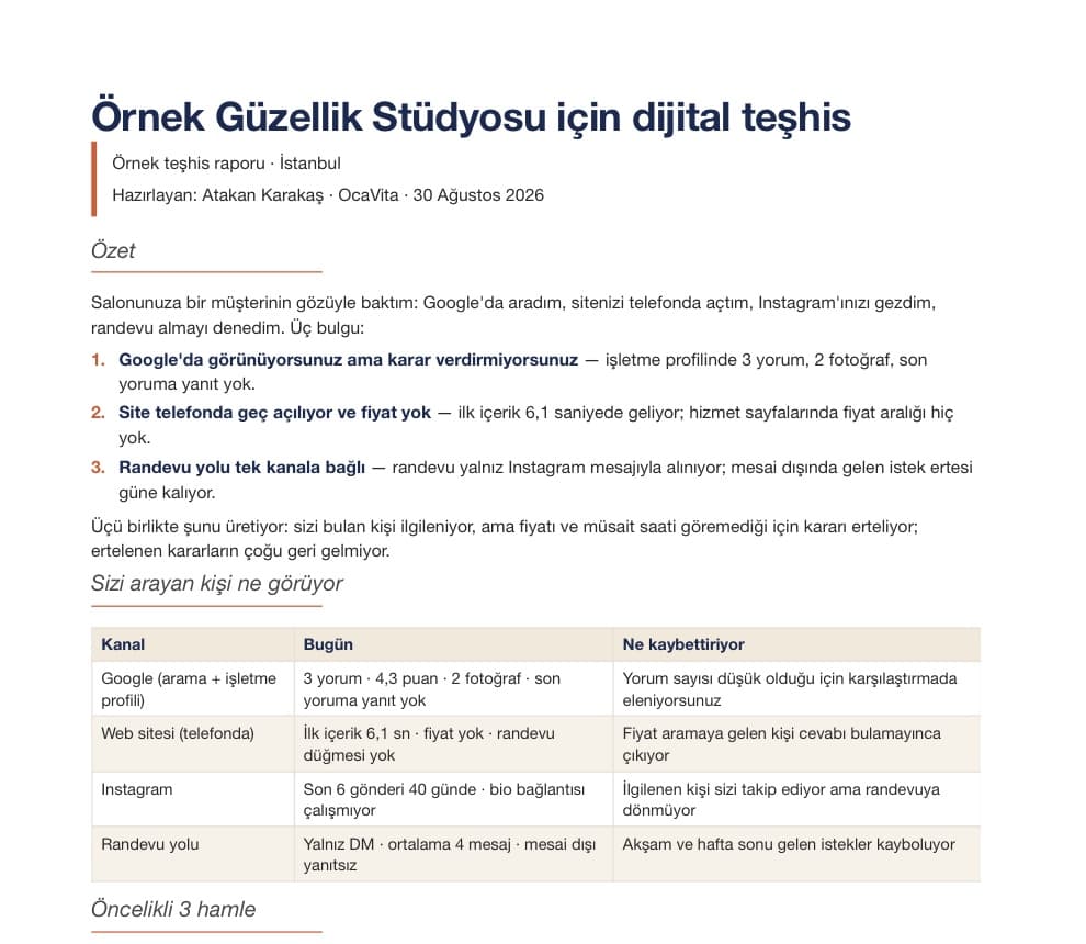 Örnek teşhis raporunun ilk sayfası: özet, üç bulgu ve sizi arayan kişinin ne gördüğü